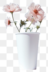 PNG White paper coffee cup flower blossom plant.