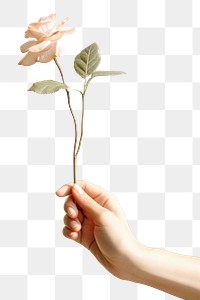 PNG A sculpture holding a flower finger plant petal. AI generated Image by rawpixel.