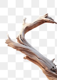 PNG A piece of drift wood driftwood tranquility landscape. AI generated Image by rawpixel.