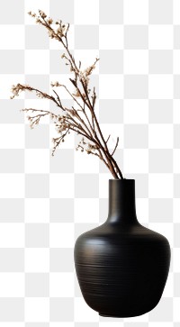 PNG A wooden cabinet with vase plant architecture houseplant. AI generated Image by rawpixel.
