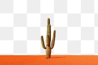 PNG Cactus landscape plant tranquility. AI generated Image by rawpixel.