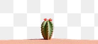 PNG  Cactus landscape plant tranquility. AI generated Image by rawpixel.