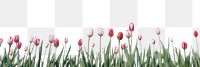 PNG  Tulip hill sky landscape outdoors. AI generated Image by rawpixel.