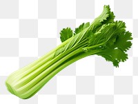 PNG Celery vegetable plant food.