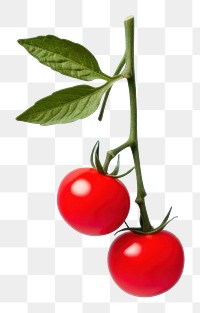 PNG Cherry tomato fruit plant food.