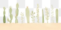PNG  Green plants cactus backgrounds creativity. AI generated Image by rawpixel.