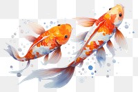 PNG  Two Japanese Koi fish koi goldfish swimming.