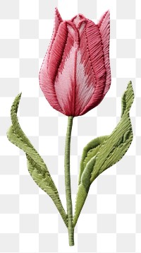PNG Embroidery style white fabric pink tulip leaves.