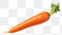 PNG Fresh Carrot carrot vegetable plant.