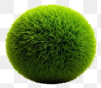 PNG  Grass sphere grass plant ball.