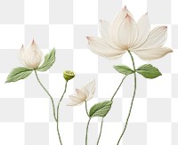 PNG Embroidery white fabric lotus flower.