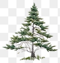 PNG Embroidery white fabric pine tree drawing.