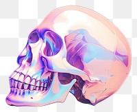 PNG  Skull art creativity anatomy.