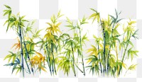 PNG Bamboo border bamboo plant white background.