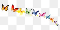PNG Butterfly butterfly animal insect.