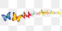 PNG Butterfly butterfly animal insect.