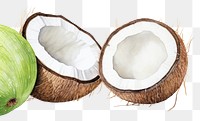 PNG Coconut border coconut fruit food.