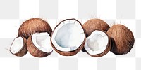 PNG Coconut border coconut white background freshness.