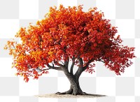 PNG Autumn tree autumn plant maple. AI generated Image by rawpixel.