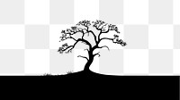 PNG  Tree silhouette plant backlighting. AI generated Image by rawpixel.