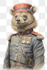PNG Bear character wearing british soldier costume drawing sketch mammal.