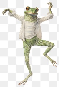 PNG Frog character ballet dancing amphibian wildlife drawing.