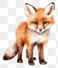PNG Cute fox wildlife mammal animal. AI generated Image by rawpixel.