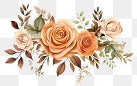 PNG  Floral rose pattern flower