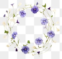 PNG Real pressed morning glory and flowers circle purple wreath. AI generated Image by rawpixel.