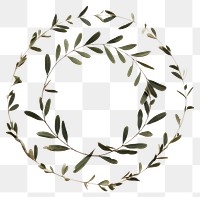 PNG Real pressed olive leaves pattern circle shape. AI generated Image by rawpixel.