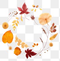 PNG Real pressed autumn leaves pattern circle flower. AI generated Image by rawpixel.
