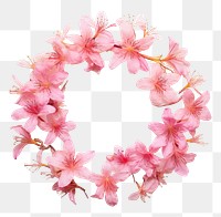 PNG Real pressed azalea flowers wreath petal plant. AI generated Image by rawpixel.