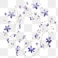 PNG Real pressed bluebells flowers circle purple wreath. AI generated Image by rawpixel.