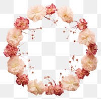 PNG Real pressed carnation flowers circle wreath petal. AI generated Image by rawpixel.