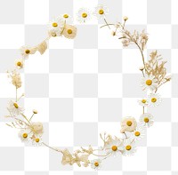 PNG Real pressed chamomile with flowers circle wreath shape. AI generated Image by rawpixel.