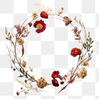 PNG Real pressed christmas flowers wreath circle shape. AI generated Image by rawpixel.
