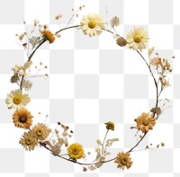 PNG Real pressed chrysanthemum flowers wreath circle shape. AI generated Image by rawpixel.