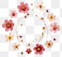 PNG Real pressed cosmos flowers jewelry circle wreath. AI generated Image by rawpixel.