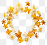 PNG Real pressed daffodil flowers petal food accessories. AI generated Image by rawpixel.