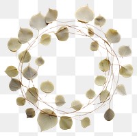 PNG Real pressed eucalyptus leaves necklace jewelry circle. AI generated Image by rawpixel.