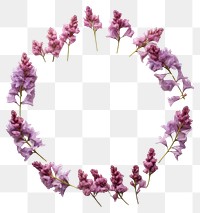 PNG Real pressed hyacinth flowers jewelry circle wreath. AI generated Image by rawpixel.