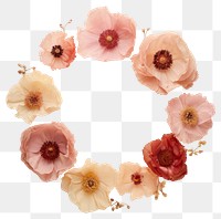 PNG Real pressed peony flowers circle wreath petal. AI generated Image by rawpixel.