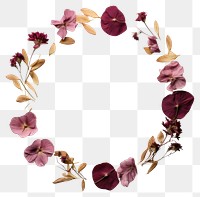 PNG Real pressed petals flower circle wreath. AI generated Image by rawpixel.