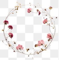 PNG Real pressed pink flowers jewelry pattern circle. AI generated Image by rawpixel.