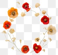 PNG Real pressed poppy flowers circle wreath petal. AI generated Image by rawpixel.