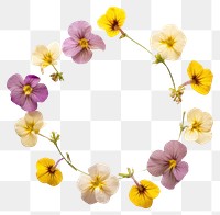 PNG Real pressed primrose flowers jewelry circle wreath. AI generated Image by rawpixel.