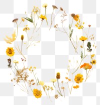 PNG Pattern flower petal plant. AI generated Image by rawpixel.