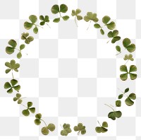 PNG Real pressed shamrock leaves jewelry circle plant. AI generated Image by rawpixel.