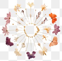 PNG Real pressed tropical flowers circle petal plant. AI generated Image by rawpixel.