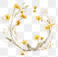 PNG Real pressed yellow flowers plant petal herb. AI generated Image by rawpixel.
